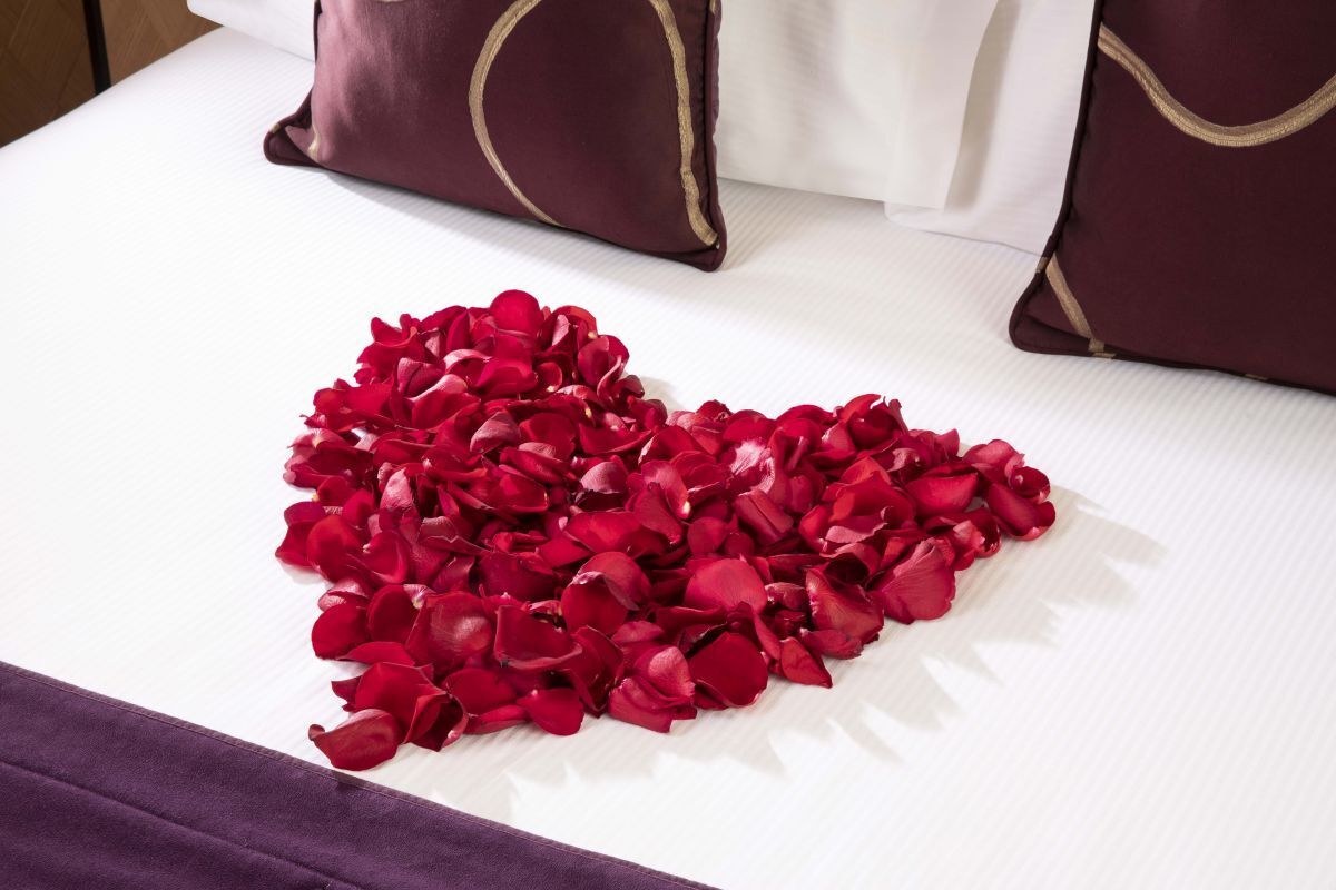 Hotel Maison FL - Boda